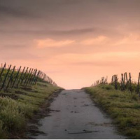 Sommer op ons drumpel