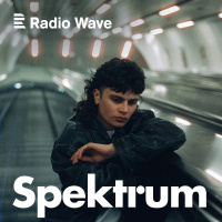 Spektrum: Rovn#xE9 podm#xEDnky, ne v#xFDhody. Jak lid#xE9 s autismem zvl#xE1daj#xED #x161kolu, pr#xE1ci i vztahy?