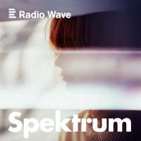 Spektrum: Kdy#x17E jsem p#x159ehlcen#xE1, bol#xED m#x11B i dotek v MHD