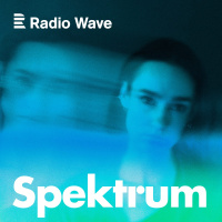 Spektrum: Jak#xE9 to je #x17E#xEDt s autismem ve spole#x10Dnosti, kter#xE1 mu nerozum#xED?