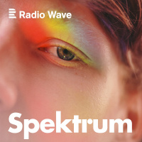 Spektrum: V#x17Edy#x165 jsi #xFApln#x11B norm#xE1ln#xED! Co v#x161echno br#xE1n#xED v#x10Dasn#xE9 diagnostice autismu?