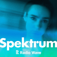 Spektrum: B#xEDl#xFD, geni#xE1ln#xED a mu#x17E: Kdo (ne)reprezentuje autismus v popkultu#x159e?