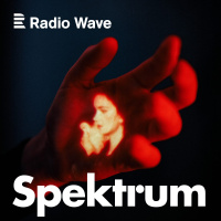 Spektrum: M#x16Fj mozek se t#x159ikr#xE1t zamot#xE1 do sebe a u#x17E se nerozmot#xE1. Jak lid#xE9 na spektru pro#x17E#xEDvaj#xED emoce