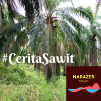 #CeritaSawit Aktivitas di Perkebunan Kelapa Sawit