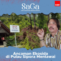 Ancaman Ekosida di Pulau Sipora (Bagian 2)