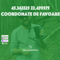 Podcast 18 - Dupaamiaza cu David - Coordonate de favoare