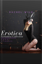 Erotica Forbidden Collection: Short Stories: A Flirting Romance For Adults