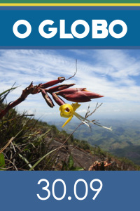 O GLOBO - Edição 30 de setembro de 2020
