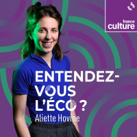 LECONOMIE EN QUESTION