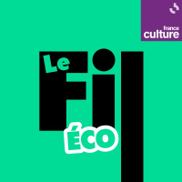 Le Fil éco avec Arnaud Orain 9/15 : Les monopoles sont-ils le mal absolu ?