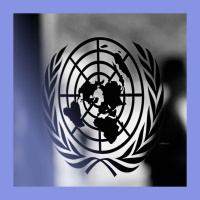 States of disarray: the UN at 80