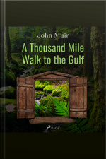 A Thousand Mile Walk To The Gulf