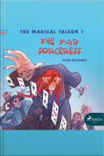 The Magical Falcon 1 - The Mad Sorceress