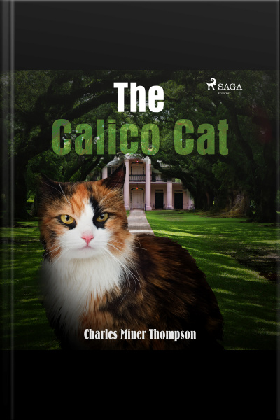 The Calico Cat