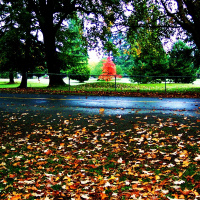 Beginning Breath Practice