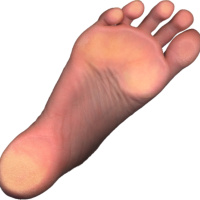 Podcast Episode #14: Foot and Ankle Health, More Nutrition Questions