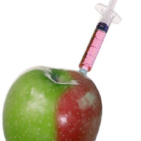 Podcast Episode #52: Do You Know What You’re Eating?