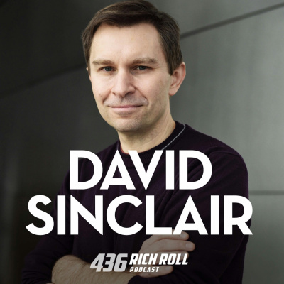 The Rich Roll Podcast