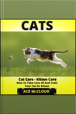 Cats: Cat Care: Kitten Care: How To Take Care Of And Train Your Cat Or Kitten
