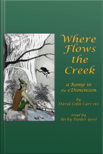Where Flows The Creek: A Romp In The Edimension
