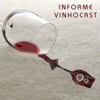 Informe Vinhocast