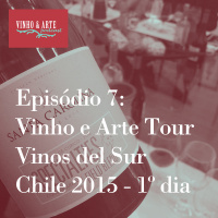 007 - Vinho e Arte Tour - Vinos del Sur - Chile 2015 - dia 1