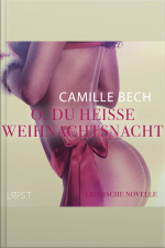 O, Du Heiße Weihnachtsnacht: Erotische Novelle