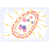 The lightning inside us