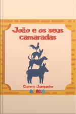 João E Seus Camaradas