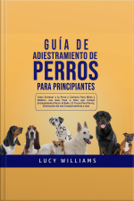 Guía De Adiestramiento De Perros Para Principiantes
