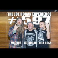 #597 - Magnus Walker  Alex Ross