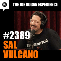 #2389 - Sal Vulcano
