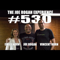 #530 - Vince  Emily Horn, from Buddhist Geeks