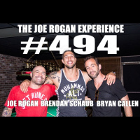 #494 - Brendan Schaub  Bryan Callen