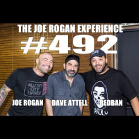 #492 - Dave Attell