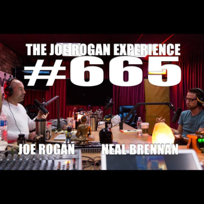 The Joe Rogan Experience