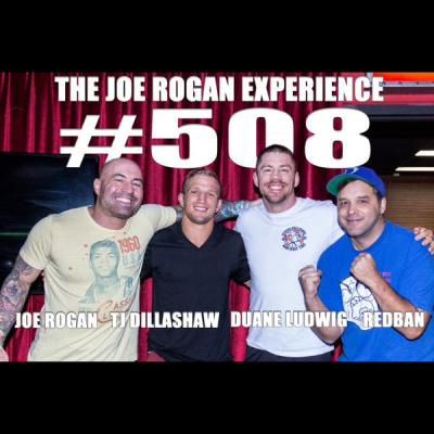 The Joe Rogan Experience