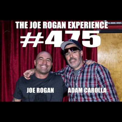 The Joe Rogan Experience
