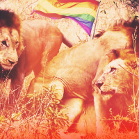 FOF #2445 - The Biology of Homosexuality