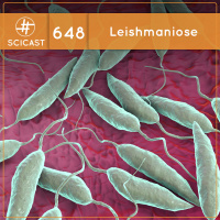 Leishmaniose: uma doença devastadora e um parasita fascinante (SciCast #648)