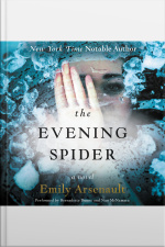 The Evening Spider