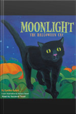 Moonlight