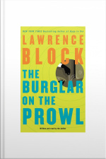 The Burglar on the Prowl