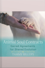 Animal Soul Contracts: Sacred Agreements For Shared Evolution
