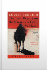 The Last Report on the Miracles at Little No Horse