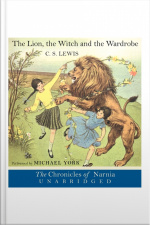 The Lion, the Witch and the Wardrobe