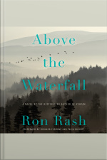 Above the Waterfall