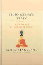Siddharthas Brain