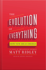 The Evolution of Everything