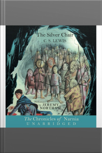 The Silver Chair